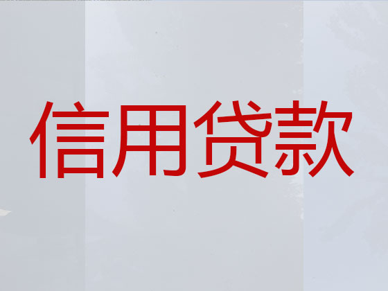 迪庆贷款公司-银行信用贷款